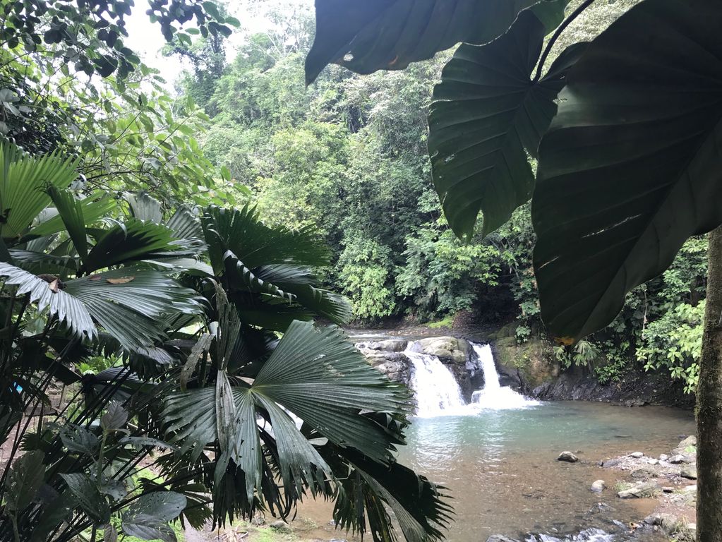 Watervallen Costa Rica